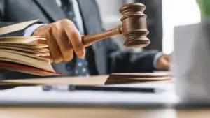 IPR intellectual property right