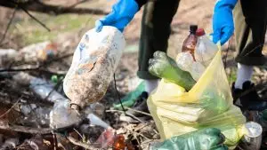 Image for article: Greenwashing, navigating the fine line between compliance and sustainable commitment