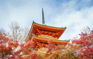 japan whistleblower