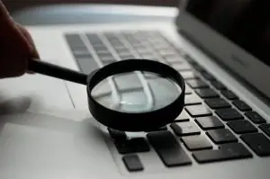 fraud investigator