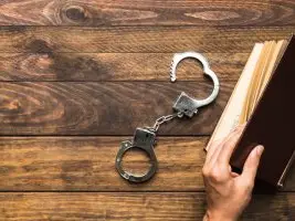 criminal and litigation checks pemeriksaaan kriminal