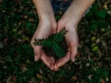 Image for article: Greenwashing, akurasi dalam sebuah klaim ‘keberlanjutan’