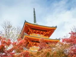 japan whistleblowing