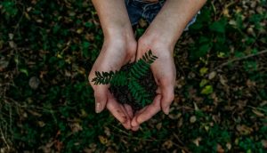 greenwashing